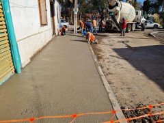 REPOSICIÓN DE ÁRBOLES POR TRABAJOS DE VEREDAS EN PUCHUNCAVÍ