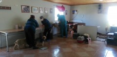 CON ÉXITO CONTINÚA DESARROLLÁNDOSE PROGRAMA DE ESTERILIZACIÓN EN LA COMUNA
