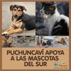 PUCHUNCAVÍ APOYA A LAS MASCOTAS DEL SUR